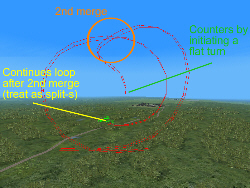 flat versus spit